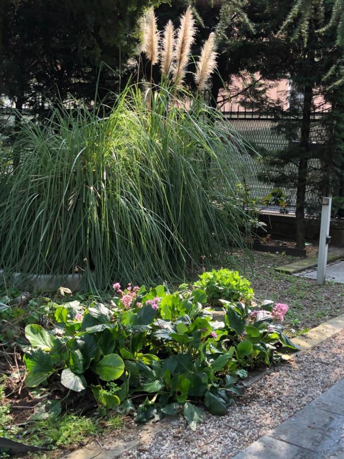 Il Villino Della Duchessa Bed & Breakfast Parma Luaran gambar
